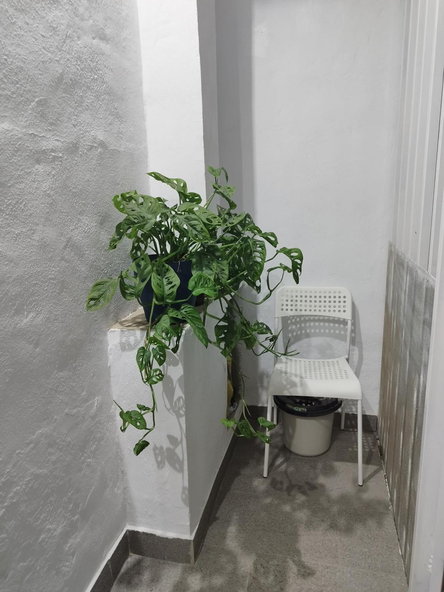 Casa De Maria Luisa Apartman Arona  Kültér fotó